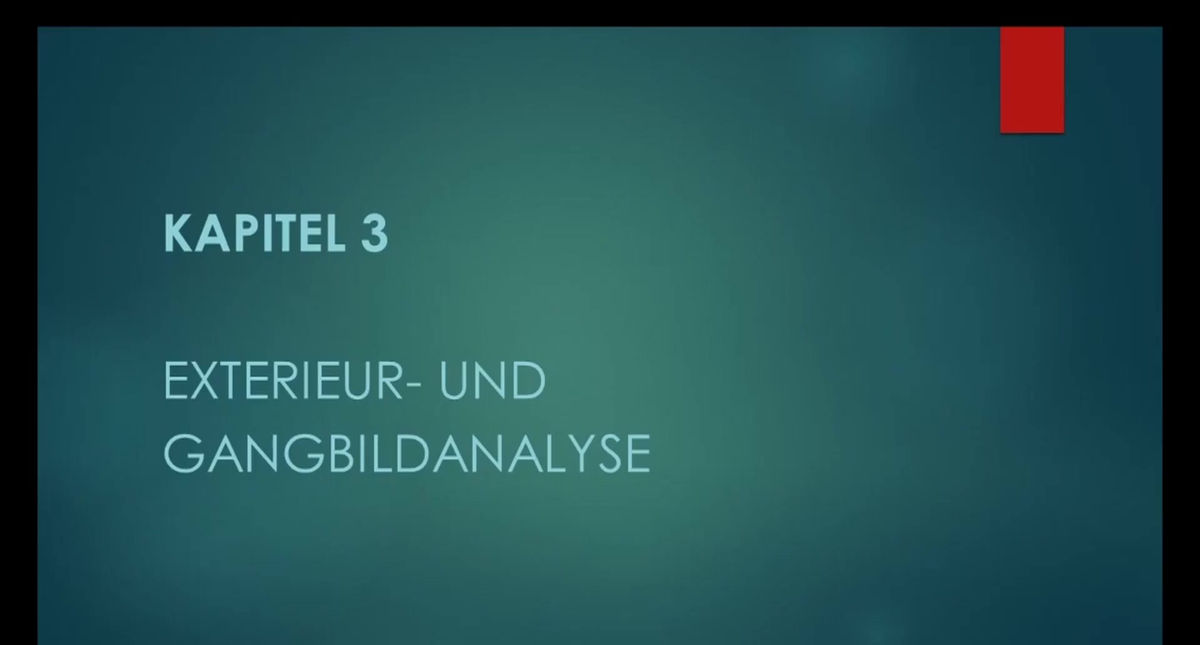 Bio III - Kapitel 3 | Exterieur- und Gangbildanalyse